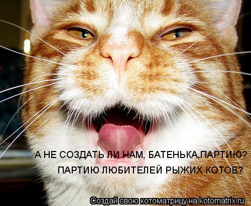 А НЕ СОЗДАТЬ ЛИ НАМ, БАТЕНЬКА,ПАРТИЮ? ПАРТИЮ ЛЮБИТЕЛЕЙ РЫЖИХ КОТОВ?... Котоматрица: А НЕ СОЗДАТЬ ЛИ НАМ, БАТЕНЬКА,ПАРТИЮ? ПАРТИЮ ЛЮБИТЕЛЕЙ РЫЖИХ КОТОВ?