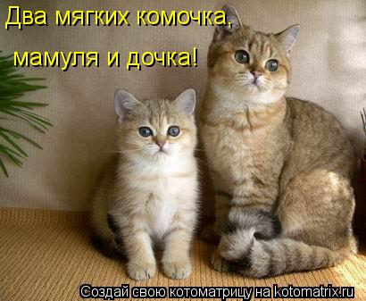 Два мягких комочка, мамуля и дочка!... Котоматрица: Два мягких комочка, мамуля и дочка!