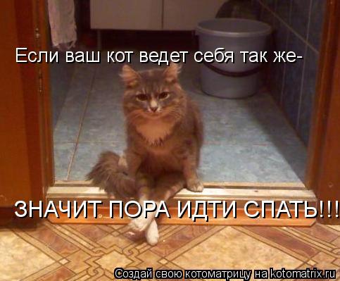 Если ваш кот ведет себя так же- ЗНАЧИТ ПОРА ИДТИ СПАТЬ!!!... Котоматрица: Если ваш кот ведет себя так же- ЗНАЧИТ ПОРА ИДТИ СПАТЬ!!!
