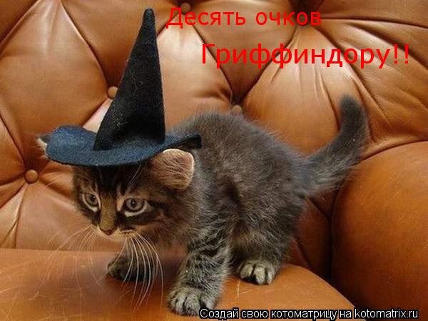 Десять очков Гриффиндору!!... Котоматрица: Десять очков Гриффиндору!!