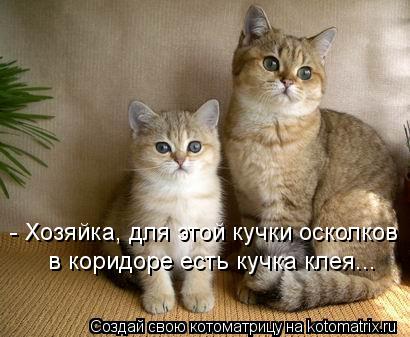 - Хозяйка, для этой кучки осколков в коридоре есть кучка клея...... Котоматрица: - Хозяйка, для этой кучки осколков в коридоре есть кучка клея...