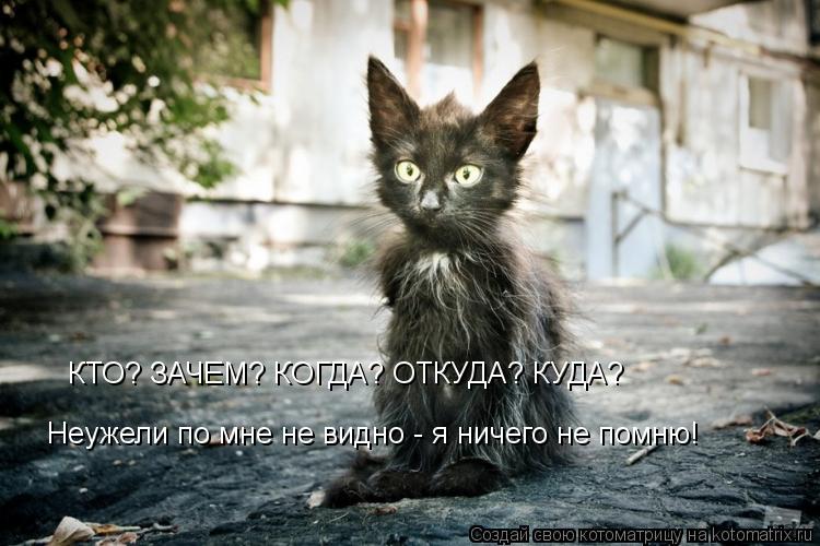 КТО? ЗАЧЕМ? КОГДА? ОТКУДА? КУДА? Неужели по мне не видно - я ничего не помню!... Котоматрица: КТО? ЗАЧЕМ? КОГДА? ОТКУДА? КУДА? Неужели по мне не видно - я ничего не помню!