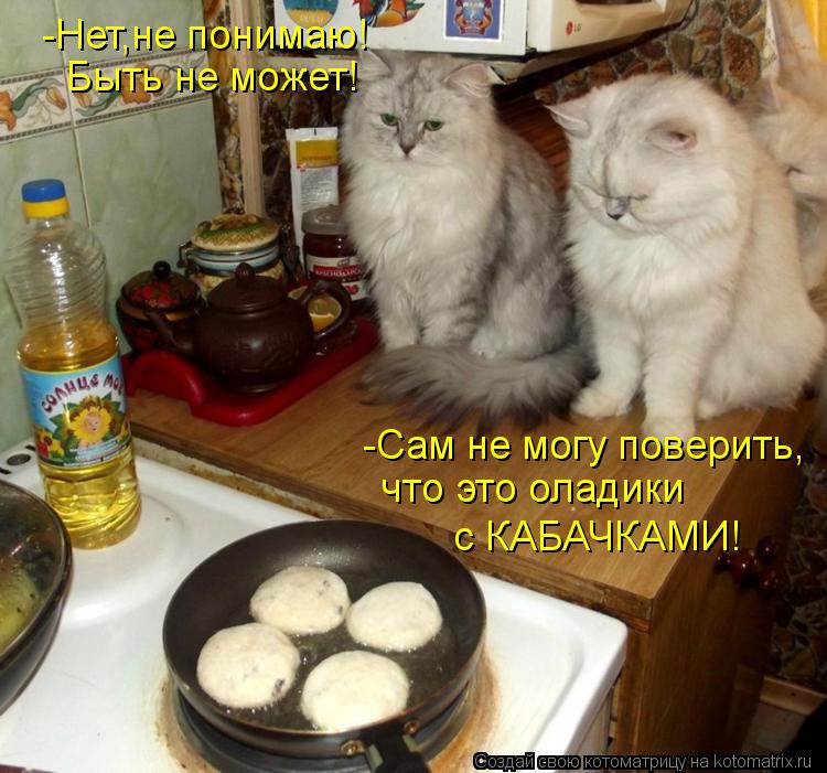 -Нет,не понимаю! Быть не может! -Сам не могу поверить, что это оладики с КАБАЧКАМИ!... Котоматрица: -Нет,не понимаю! Быть не может! -Сам не могу поверить, что это оладики с КАБАЧКАМИ!