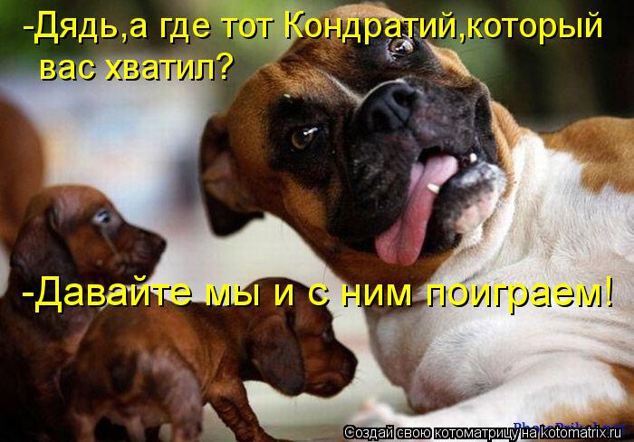 -Дядь,а где тот Кондратий,который вас хватил? -Давайте мы и с ним поиграем!... Котоматрица: -Дядь,а где тот Кондратий,который вас хватил? -Давайте мы и с ним поиграем!