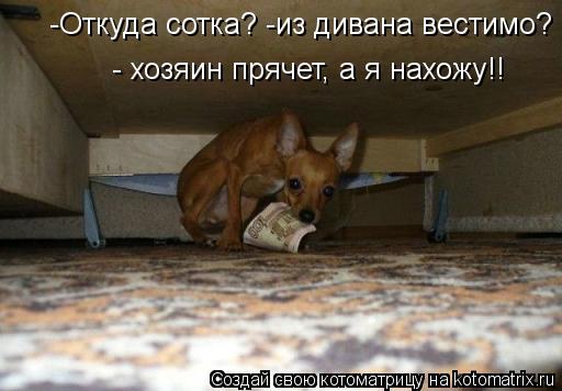 -Откуда сотка? -из дивана вестимо? - хозяин прячет, а я нахожу!! - хозяин прячет, а я нахожу!!... Котоматрица: -Откуда сотка? -из дивана вестимо? - хозяин прячет, а я нахожу!! - хозяин прячет, а я нахожу!!