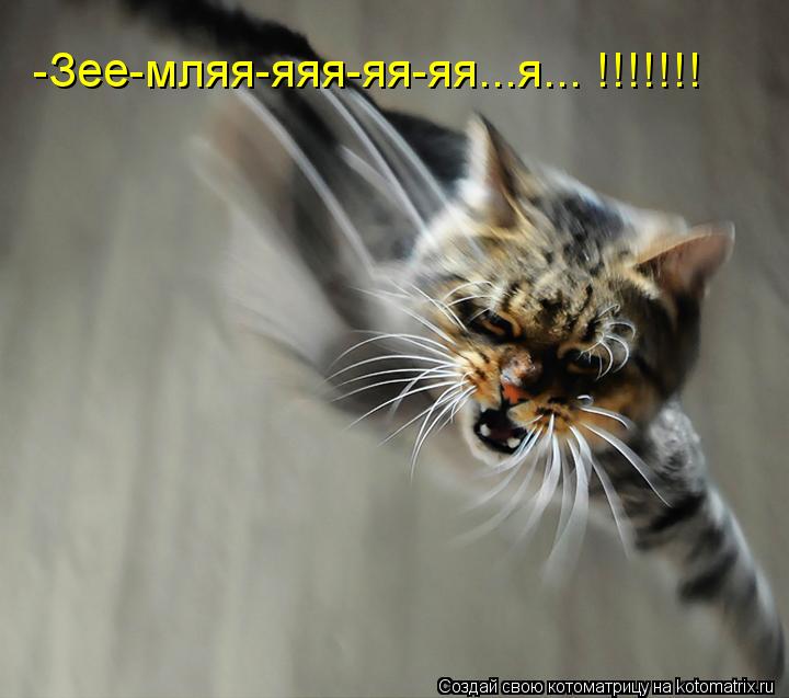 -Зее-мляя-яяя-яя-яя...я... !!!!!!!... Котоматрица: -Зее-мляя-яяя-яя-яя...я... !!!!!!!