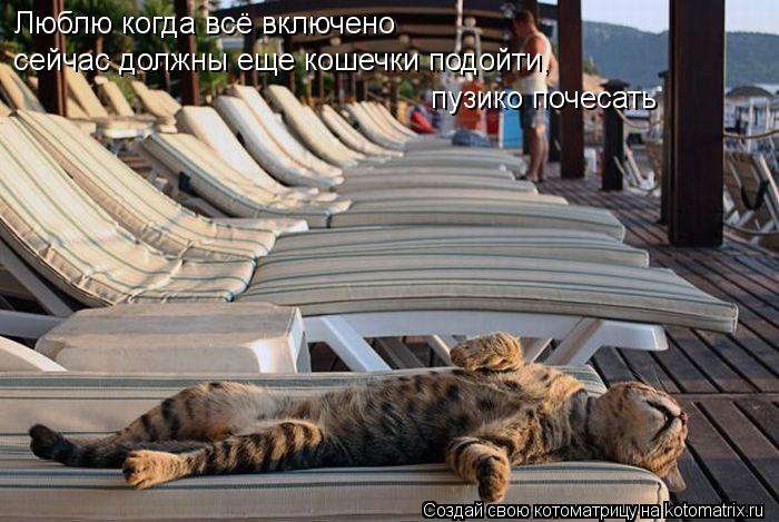 Люблю когда всё включено сейчас должны еще кошечки подойти, пузико почесать... Котоматрица: Люблю когда всё включено сейчас должны еще кошечки подойти, пузико почесать