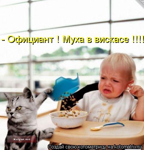 - Официант ! Муха в вискасе !!!!... Котоматрица: - Официант ! Муха в вискасе !!!!