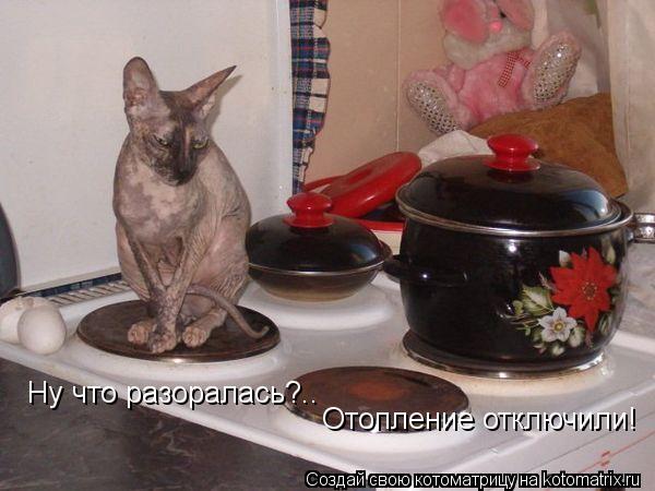 Ну что разоралась?.. Отопление отключили!... Котоматрица: Ну что разоралась?.. Отопление отключили!