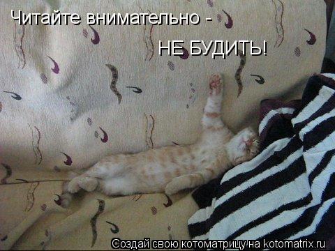 Читайте внимательно - НЕ БУДИТЬ!... Котоматрица: Читайте внимательно - НЕ БУДИТЬ!