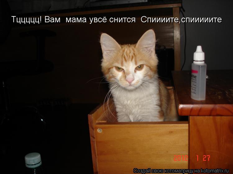 Тццццц! Вам мама увсё снится Спиииите,спииииите... Котоматрица: Тццццц! Вам мама увсё снится Спиииите,спииииите