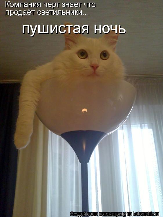Компания чёрт знает что продаёт светильники... пушистая ночь... Котоматрица: Компания чёрт знает что продаёт светильники... пушистая ночь