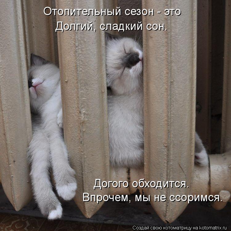 Отопительный сезон - это Долгий, сладкий сон. Догого обходится. Впрочем, мы не ссоримся.... Котоматрица: Отопительный сезон - это Долгий, сладкий сон. Догого обходится. Впрочем, мы не ссоримся.