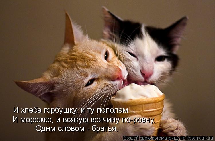 И хлеба горбушку, и ту пополам. И морожко, и всякую всячину по ровну. И морожко, и всякую всячину по-... Котоматрица: И хлеба горбушку, и ту пополам. И морожко, и всякую всячину по ровну. И морожко, и всякую всячину по-ровну. Однм словом - братья.