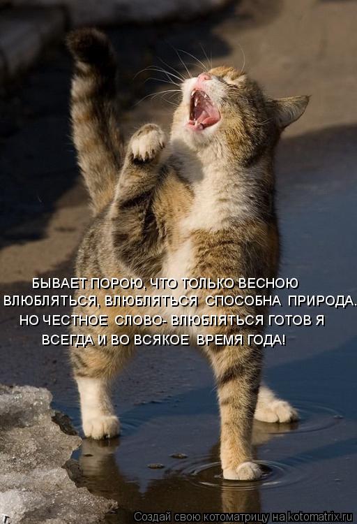 БЫВАЕТ ПОРОЮ, ЧТО ТОЛЬКО ВЕСНОЮ ВЛЮБЛЯТЬСЯ, ВЛЮБЛЯТЬСЯ СПОСОБНА ПРИРОДА.... НО ЧЕСТНОЕ СЛОВО- ВЛЮБ... Котоматрица: БЫВАЕТ ПОРОЮ, ЧТО ТОЛЬКО ВЕСНОЮ ВЛЮБЛЯТЬСЯ, ВЛЮБЛЯТЬСЯ СПОСОБНА ПРИРОДА.... НО ЧЕСТНОЕ СЛОВО- ВЛЮБЛЯТЬСЯ ГОТОВ Я ВСЕГДА И ВО ВСЯКОЕ ВРЕМЯ Г