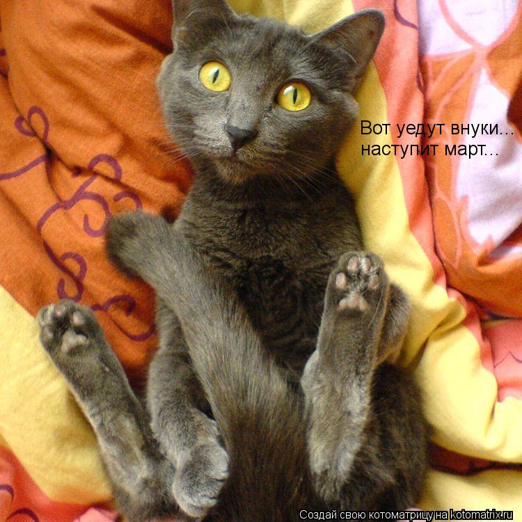 Вот уедут внуки... наступит март...... Котоматрица: Вот уедут внуки... наступит март...