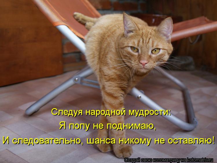 Следуя народной мудрости: Я попу не поднимаю, И следовательно, шанса никому не оставляю!... Котоматрица: Следуя народной мудрости: Я попу не поднимаю, И следовательно, шанса никому не оставляю!