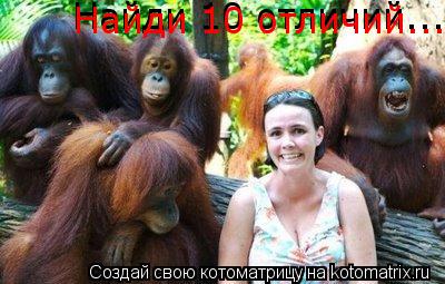 Найди 10 отличий.... Найди 10 отличий....... Котоматрица: Найди 10 отличий.... Найди 10 отличий....