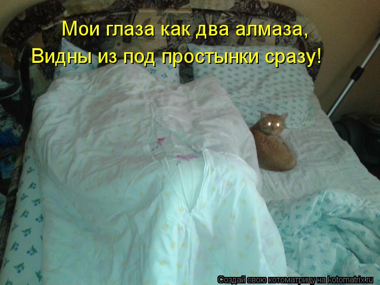 Мои глаза как два алмаза, Видны из под простынки сразу!... Котоматрица: Мои глаза как два алмаза, Видны из под простынки сразу!