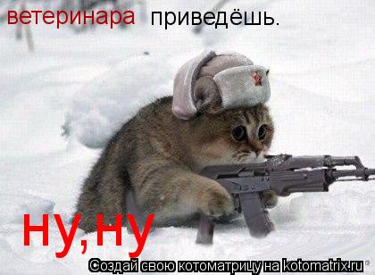 Котоматрица: ветеринара  приведёшь.   ну,ну