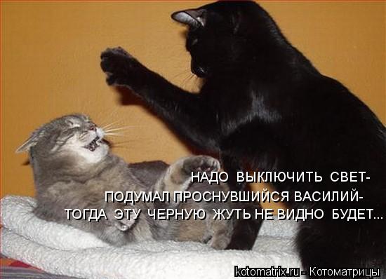 ПОДУМАЛ ПРОСНУВШИЙСЯ ВАСИЛИЙ- ТОГДА ЭТУ ЧЕРНУЮ ЖУТЬ НЕ ВИДНО БУДЕТ... НАДО ВЫКЛЮЧИТЬ СВЕТ-... Котоматрица: ПОДУМАЛ ПРОСНУВШИЙСЯ ВАСИЛИЙ- ТОГДА ЭТУ ЧЕРНУЮ ЖУТЬ НЕ ВИДНО БУДЕТ... НАДО ВЫКЛЮЧИТЬ СВЕТ-