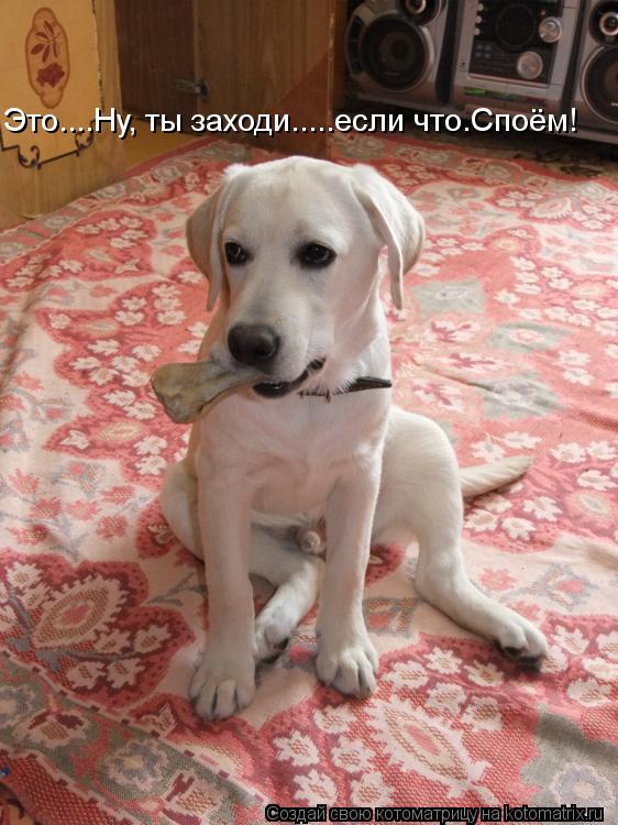 Это....Ну, ты заходи.....если что.Споём!... Котоматрица: Это....Ну, ты заходи.....если что.Споём!