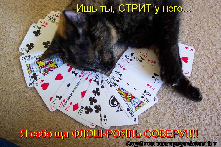 -Ишь ты, СТРИТ у него... Я себе ща ФЛЭШ-РОЯЛЬ СОБЕРУ!!!! Я себе ща ФЛЭШ-РОЯЛЬ СОБЕРУ!!!!... Котоматрица: -Ишь ты, СТРИТ у него... Я себе ща ФЛЭШ-РОЯЛЬ СОБЕРУ!!!! Я себе ща ФЛЭШ-РОЯЛЬ СОБЕРУ!!!!