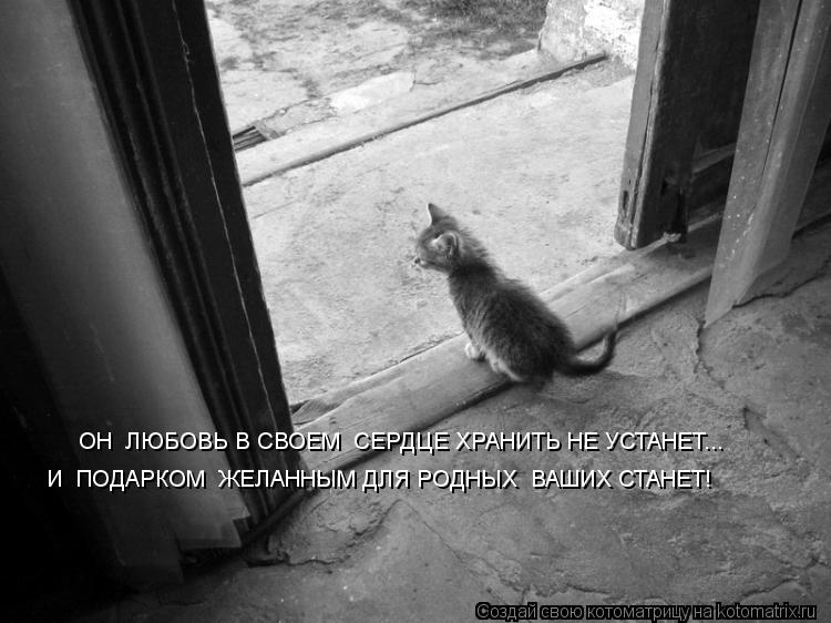 ОН ЛЮБОВЬ В СВОЕМ СЕРДЦЕ ХРАНИТЬ НЕ УСТАНЕТ... И ПОДАРКОМ ЖЕЛАННЫМ ДЛЯ РОДНЫХ ВАШИХ СТАНЕТ!... Котоматрица: ОН ЛЮБОВЬ В СВОЕМ СЕРДЦЕ ХРАНИТЬ НЕ УСТАНЕТ... И ПОДАРКОМ ЖЕЛАННЫМ ДЛЯ РОДНЫХ ВАШИХ СТАНЕТ!
