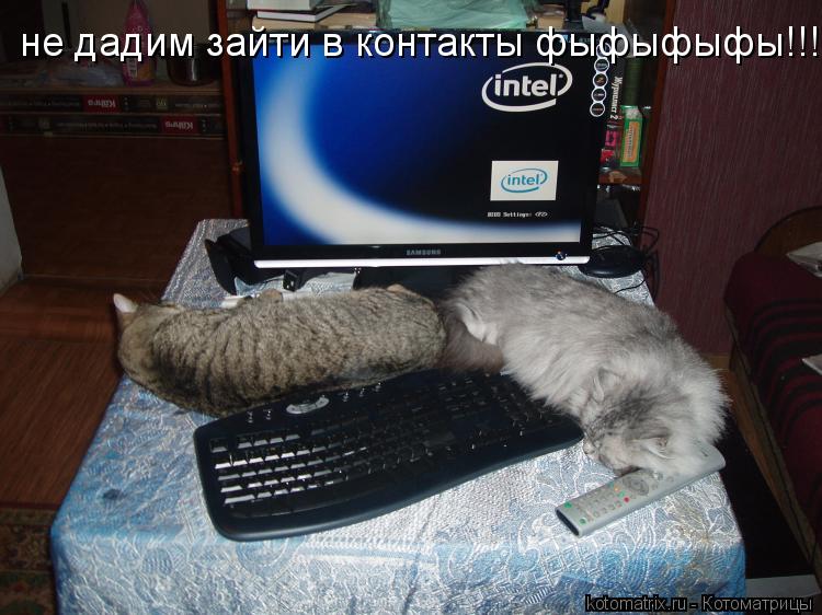 не дадим зайти в контакты фыфыфыфы!!!!... Котоматрица: не дадим зайти в контакты фыфыфыфы!!!!
