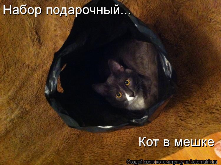 Набор подарочный... Кот в мешке... Котоматрица: Набор подарочный... Кот в мешке