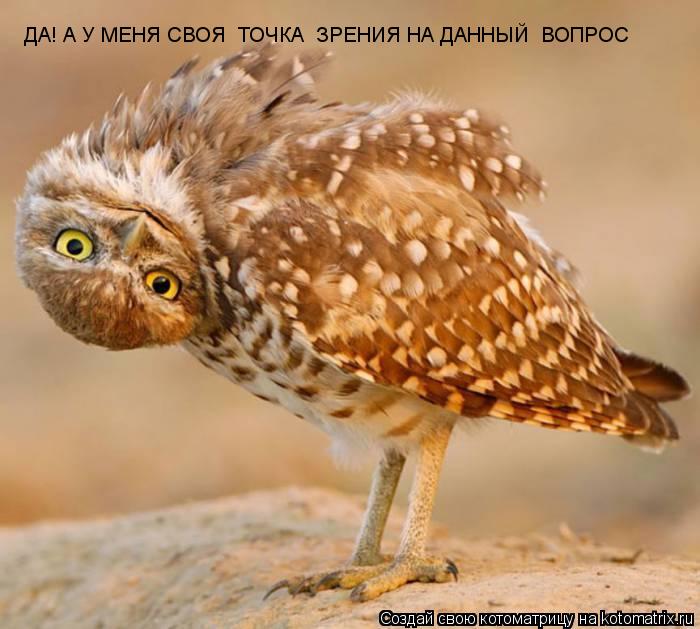 ДА! А У МЕНЯ СВОЯ ТОЧКА ЗРЕНИЯ НА ДАННЫЙ ВОПРОС... Котоматрица: ДА! А У МЕНЯ СВОЯ ТОЧКА ЗРЕНИЯ НА ДАННЫЙ ВОПРОС