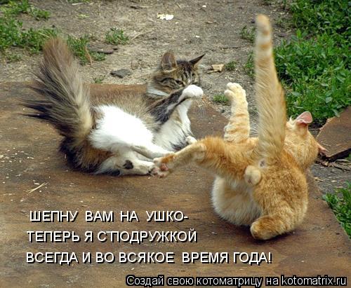 ВСЕГДА И ВО ВСЯКОЕ ВРЕМЯ ГОДА! ТЕПЕРЬ Я С ПОДРУЖКОЙ ШЕПНУ ВАМ НА УШКО-... Котоматрица: ВСЕГДА И ВО ВСЯКОЕ ВРЕМЯ ГОДА! ТЕПЕРЬ Я С ПОДРУЖКОЙ ШЕПНУ ВАМ НА УШКО-