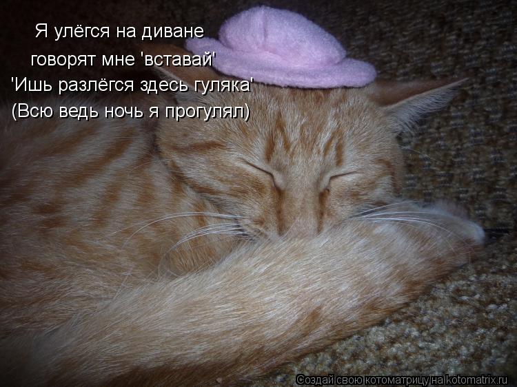 Я улёгся на диване говорят мне 'вставай' 'Ишь разлёгся здесь гуляка' (Всю ведь ночь я прогулял)... Котоматрица: Я улёгся на диване говорят мне 'вставай' 'Ишь разлёгся здесь гуляка' (Всю ведь ночь я прогулял)