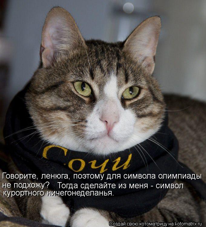 Говорите, ленюга, поэтому для символа олимпиады не подхожу? Тогда сделайте из меня - символ курортног... Котоматрица: Говорите, ленюга, поэтому для символа олимпиады не подхожу? Тогда сделайте из меня - символ курортного ничегонеделанья.