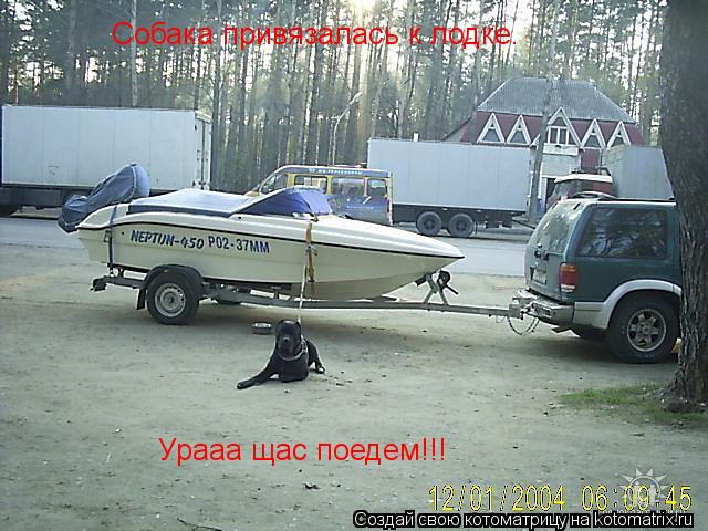 Котоматрица: Собака привязалась к лодке. Урааа щас поедем!!!