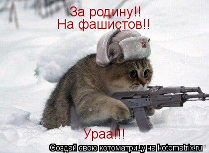 За родину!! На фашистов!! Ураа!!!... Котоматрица: За родину!! На фашистов!! Ураа!!!