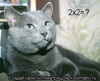 2х2=?... Котоматрица: 2х2=?