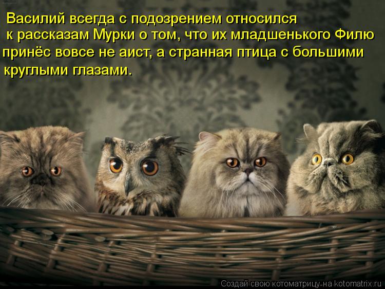 Василий всегда с подозрением относился к рассказам Мурки о том, что их младшенького Филю принёс вов... Котоматрица: Василий всегда с подозрением относился к рассказам Мурки о том, что их младшенького Филю принёс вовсе не аист, а странная птица с большими