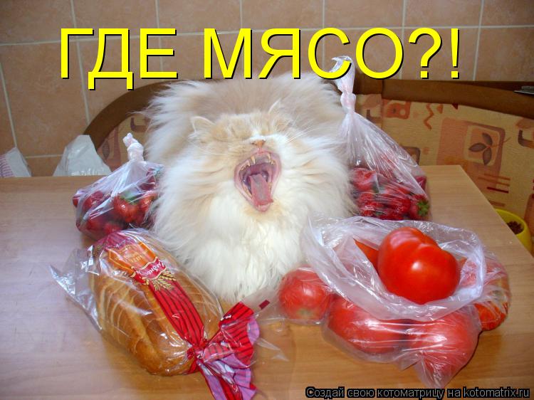ГДЕ МЯСО?!... Котоматрица: ГДЕ МЯСО?!