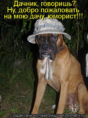 Дачник, говоришь? Ну, добро пожаловать на мою дачу, юморист!!!... Котоматрица: Дачник, говоришь? Ну, добро пожаловать на мою дачу, юморист!!!