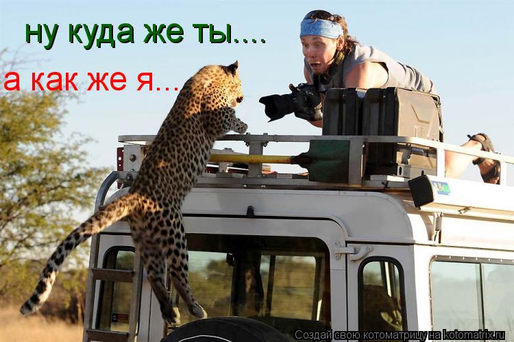 ну куда же ты.... а как же я...... Котоматрица: ну куда же ты.... а как же я...