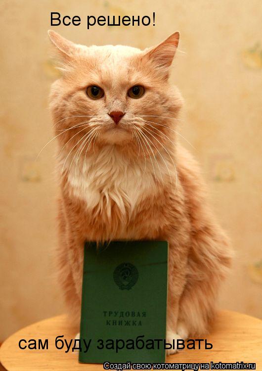 Все решено! сам буду зарабатывать... Котоматрица: Все решено! сам буду зарабатывать