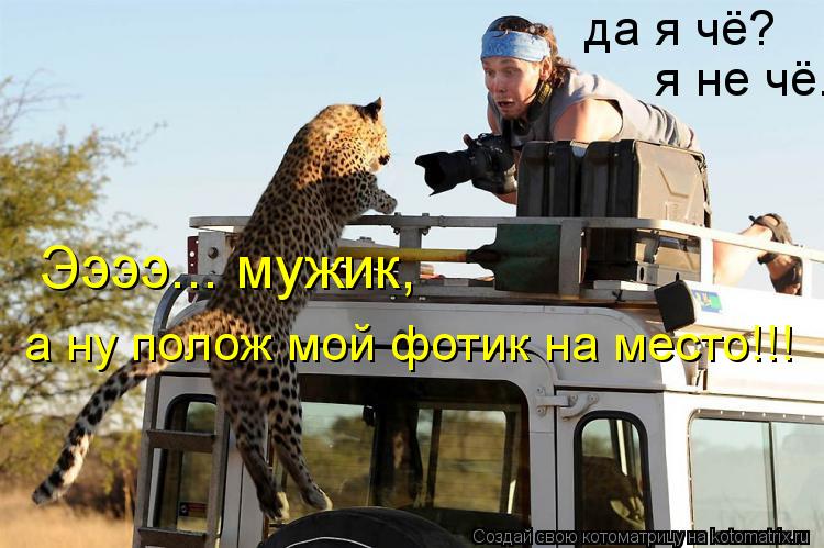 Ээээ... мужик, а ну полож мой фотик на место!!! да я чё? я не чё.... Котоматрица: Ээээ... мужик, а ну полож мой фотик на место!!! да я чё? я не чё.