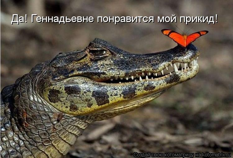 Да! Геннадьевне понравится мой прикид!... Котоматрица: Да! Геннадьевне понравится мой прикид!