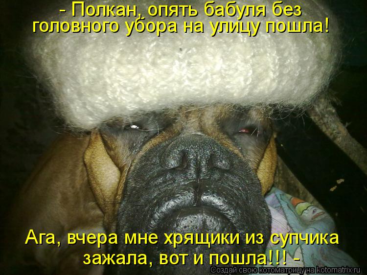 головного убора на улицу пошла! Ага, вчера мне хрящики из супчика - Полкан, опять бабуля без зажала... Котоматрица: головного убора на улицу пошла! Ага, вчера мне хрящики из супчика - Полкан, опять бабуля без зажала, вот и пошла!!! -
