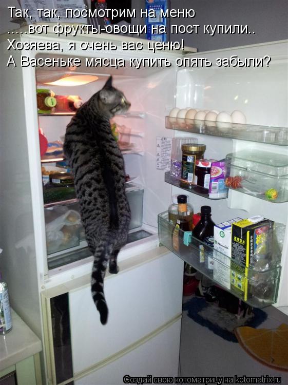 Котоматрица: Так, так, посмотрим на меню .....вот фрукты-овощи на пост купили.. Хозяева, я очень вас ценю! А Васеньке мясца купить опять забыли?