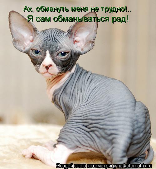 Ах, обмануть меня не трудно!.. Я сам обманываться рад!... Котоматрица: Ах, обмануть меня не трудно!.. Я сам обманываться рад!