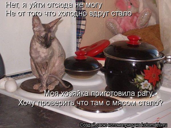 Нет, я уйти отсюда не могу Не от того что холодно вдруг стало Моя хозяйка приготовила рагу Хочу прове... Котоматрица: Нет, я уйти отсюда не могу Не от того что холодно вдруг стало Моя хозяйка приготовила рагу Хочу проверить что там с мясом стало?