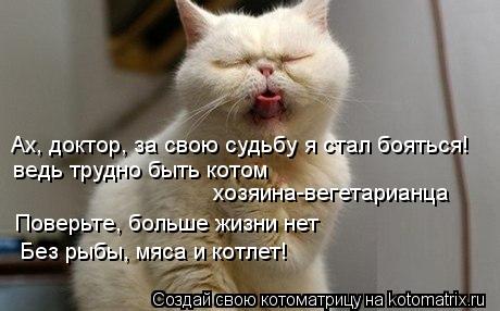 Ах, доктор, за свою судьбу я стал бояться! ведь трудно быть котом хозяина-вегетарианца Поверьте, бол... Котоматрица: Ах, доктор, за свою судьбу я стал бояться! ведь трудно быть котом хозяина-вегетарианца Поверьте, больше жизни нет Без рыбы, мяса и котлет!
