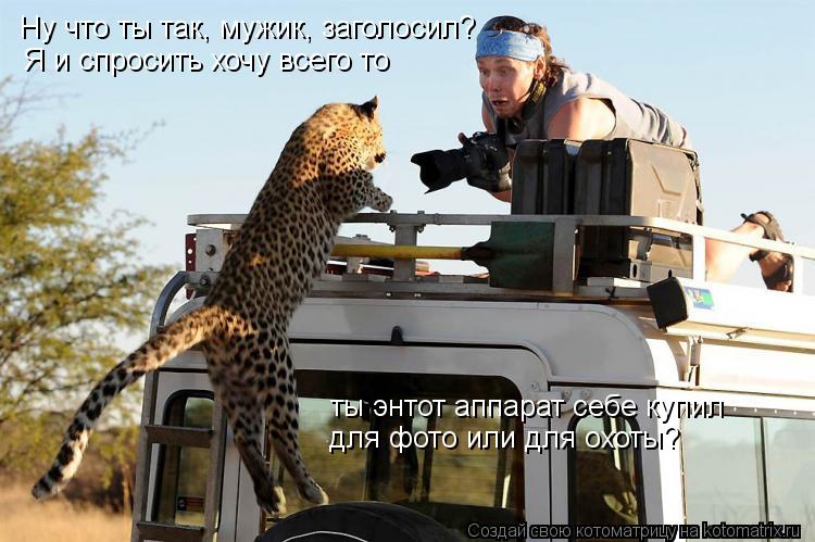 Ну что ты так, мужик, заголосил? Я и спросить хочу всего то ты энтот аппарат себе купил для фото или ... Котоматрица: Ну что ты так, мужик, заголосил? Я и спросить хочу всего то ты энтот аппарат себе купил для фото или для охоты?